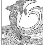 Raskrasil.com-dolphins-63