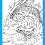 Raskrasil.com-dolphins-65