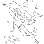 Raskrasil.com-dolphins-66