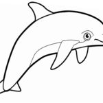 Raskrasil.com-dolphins-7