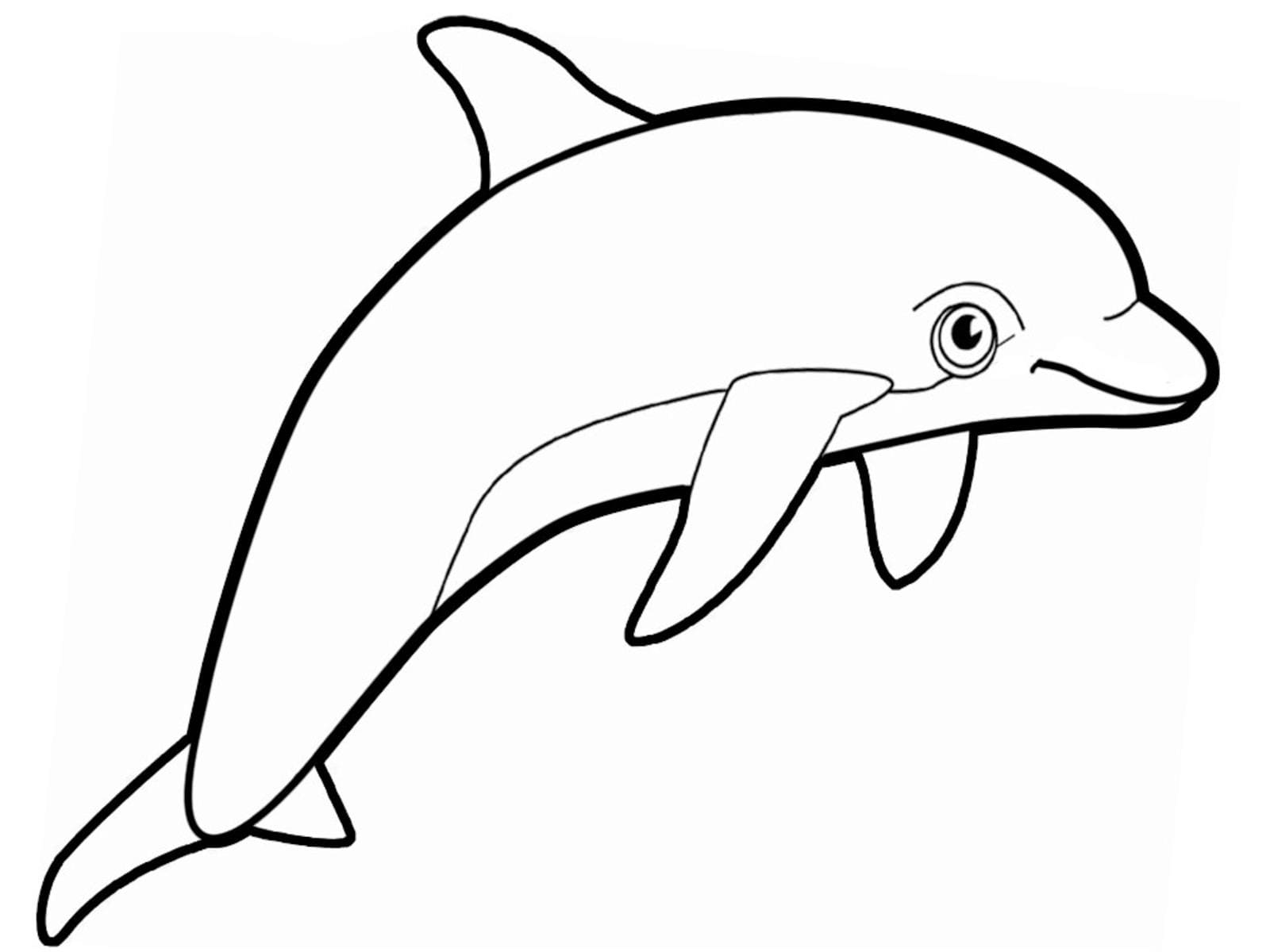 Dolphins Coloring Pages. 100 Pictures Free Printable