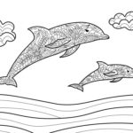 Raskrasil.com-dolphins-71