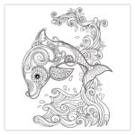 Raskrasil.com-dolphins-78