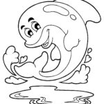 Raskrasil.com-dolphins-81