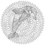 Raskrasil.com-dolphins-86