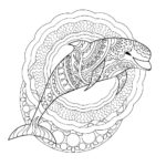Raskrasil.com-dolphins-88