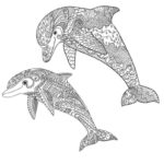 Raskrasil.com-dolphins-89