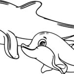 Raskrasil.com-dolphins-94