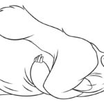 Raskrasil.com-jungle book-24
