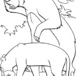 Raskrasil.com-jungle book-43
