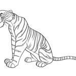 Raskrasil.com-jungle book-55