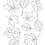 Raskrasil.com-leaf-1