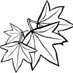 Raskrasil.com-leaf-4