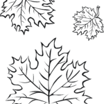 Raskrasil.com-leaf-8