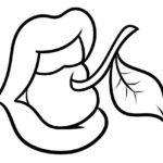 Raskrasil.com-lips-33