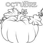 Raskrasil.com-octubre-12