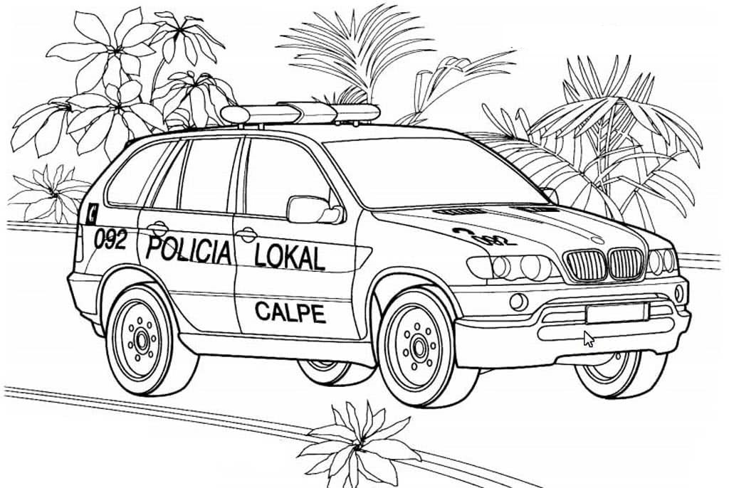 Raskrasil.com-policia local -1