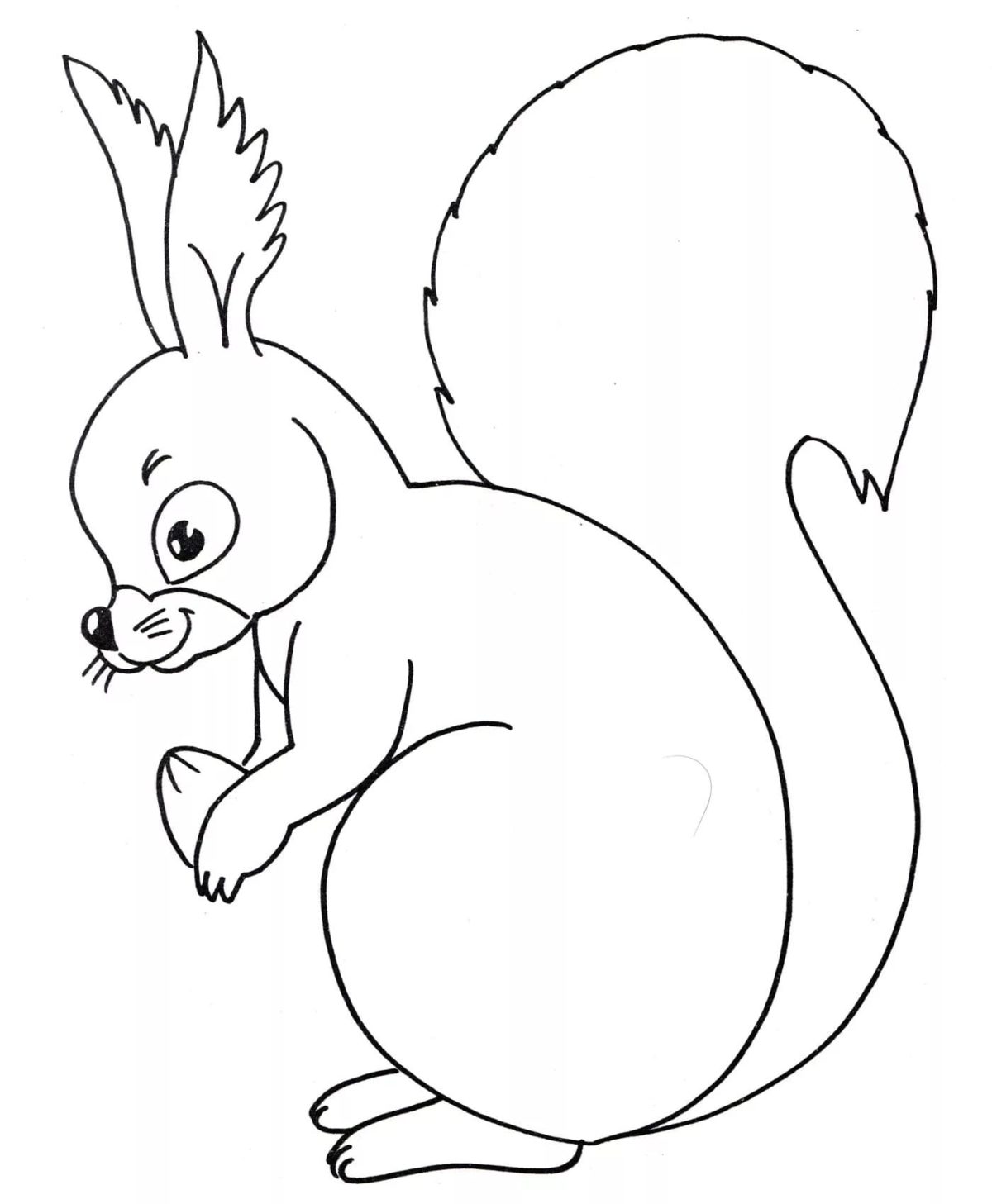 Coloriage Ecureuil à imprimer