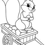 Raskrasil.com-squirrel-19