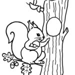 Raskrasil.com-squirrel-24