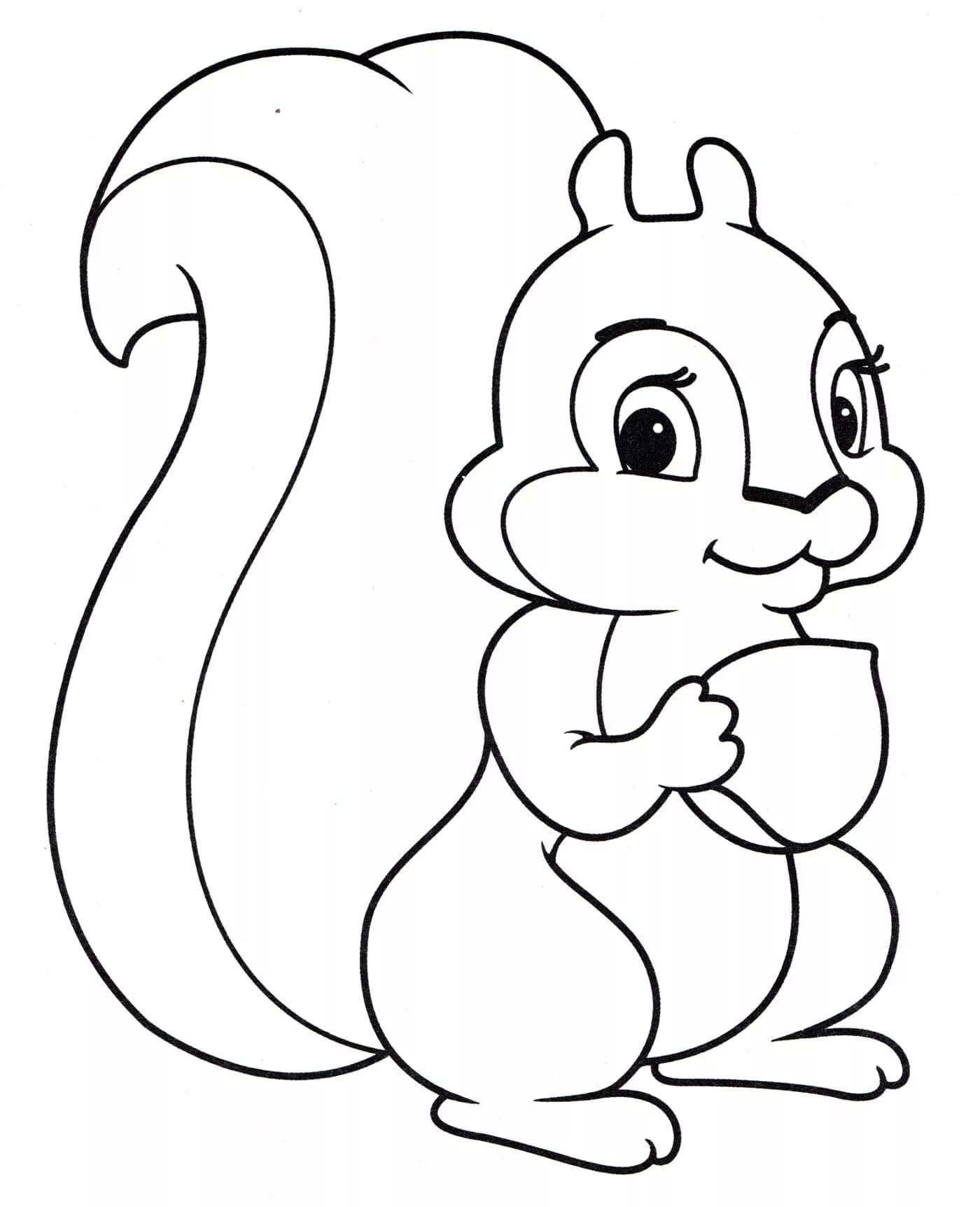 Squirrel Coloring Pages