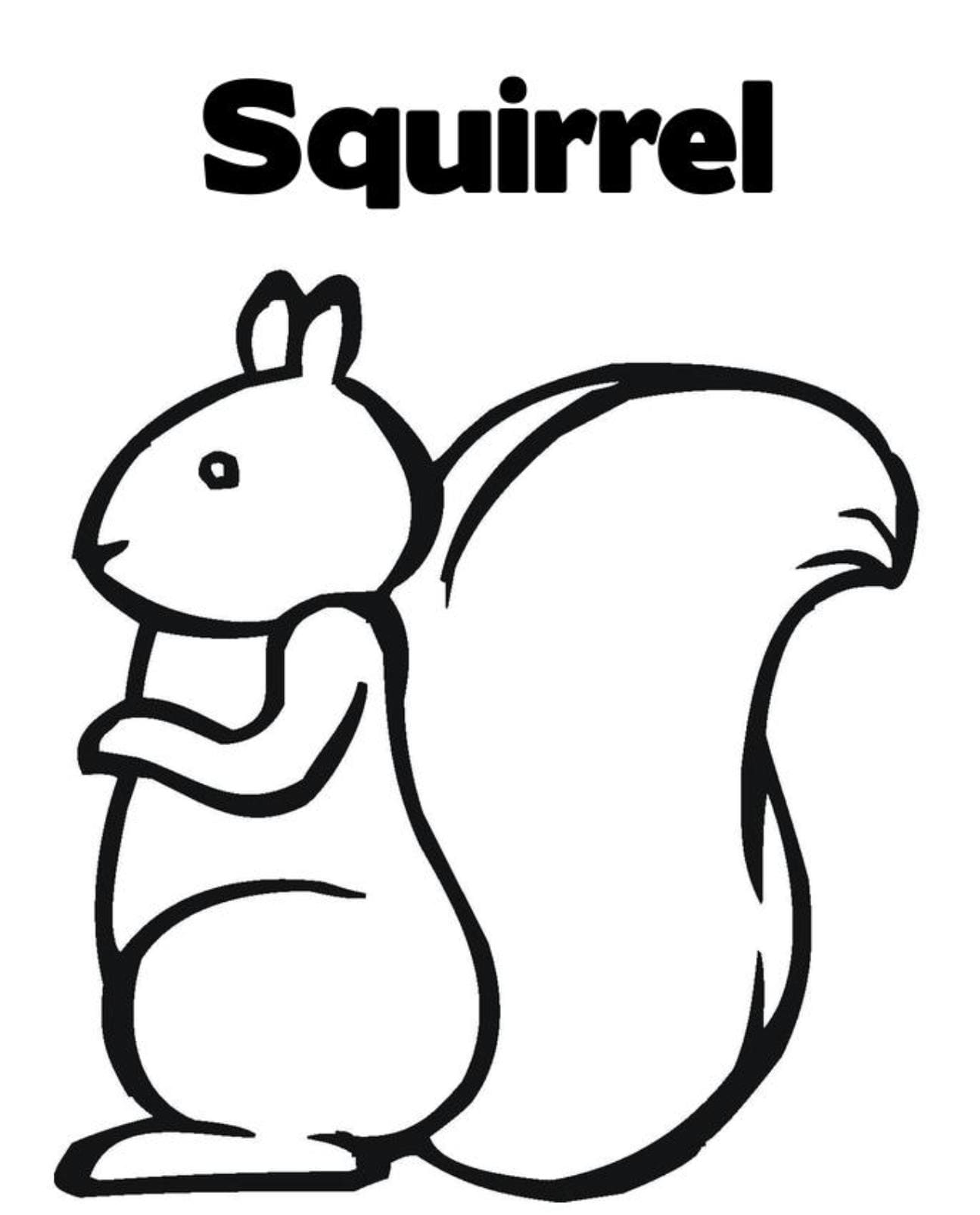 Raskrasil.com-squirrel-64