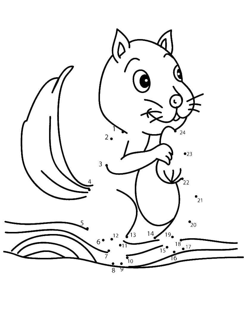 Squirrel Coloring Pages