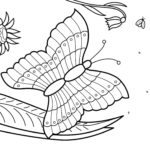 Raskrasil.com-summer-116