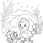 Raskrasil.com-summer-38