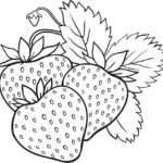 Raskrasil.com-summer-40