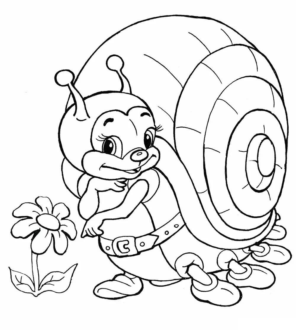 Summer Coloring Pages 105 Pictures Free Printable