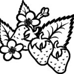 Raskrasil.com-summer-5