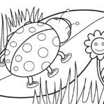 Raskrasil.com-summer-6