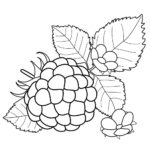 Raskrasil.com-summer-85