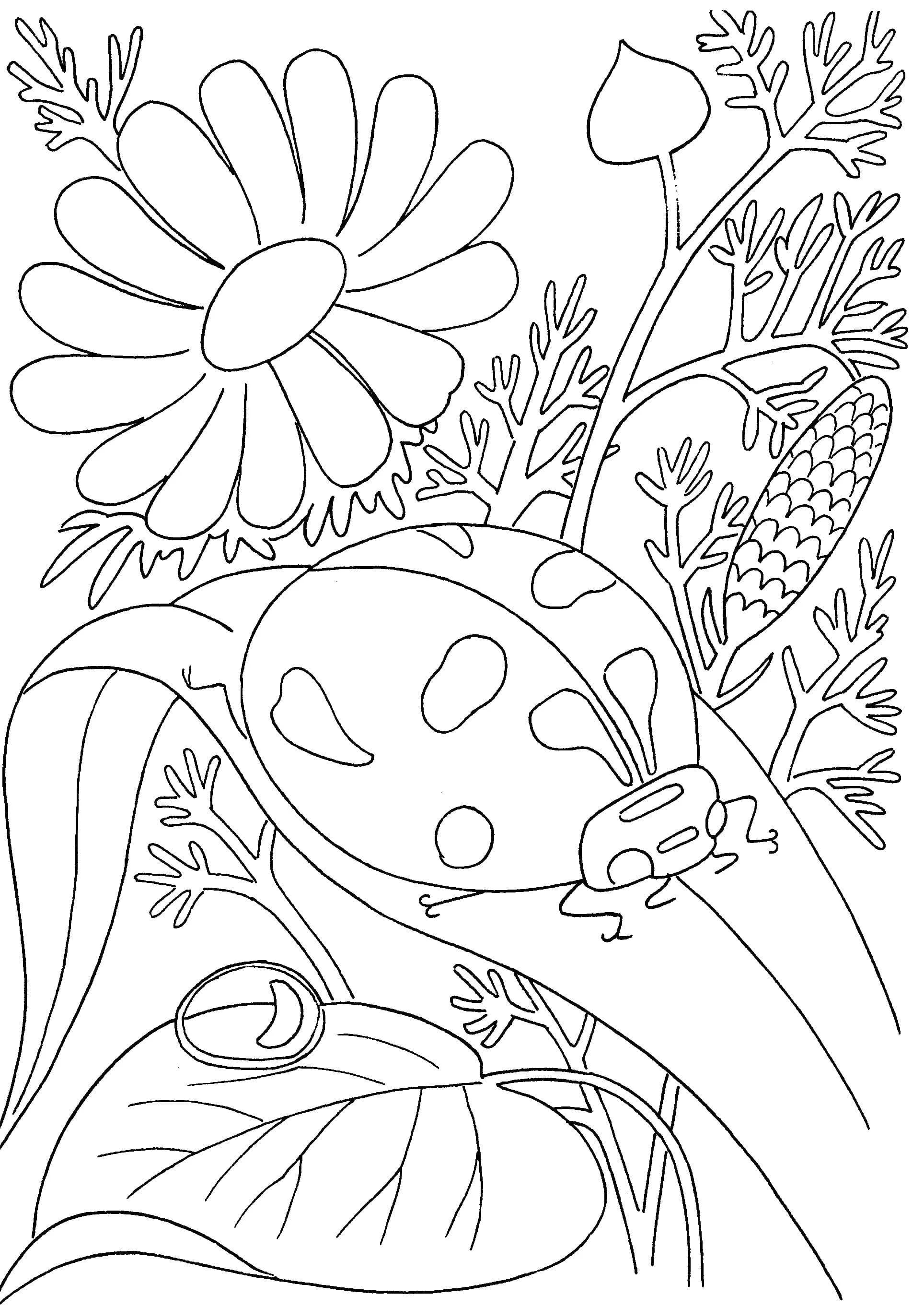 summer-coloring-pages-105-best-images-free-printable