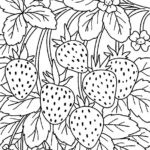 Raskrasil.com-summer-92