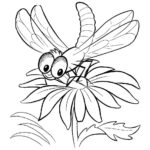 Raskrasil.com-summer-95