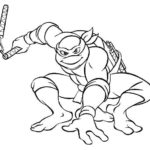 cherepashki-ninja (34)