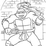 cherepashki-ninja (38)