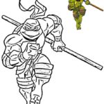 cherepashki-ninja (39)