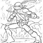 cherepashki-ninja (41)