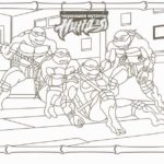 cherepashki-ninja (42)
