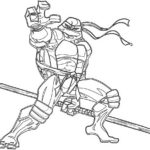 cherepashki-ninja (47)