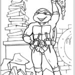 cherepashki-ninja (48)
