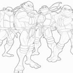 cherepashki-ninja (53)