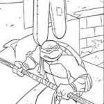 cherepashki-ninja (59)