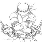 cherepashki-ninja (69)