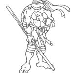 cherepashki-ninja (74)