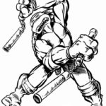 cherepashki-ninja (79)