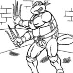 cherepashki-ninja (84)